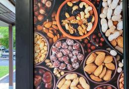 Bamyan_windows-graphics2