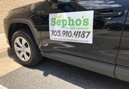 Vehicle Magnet